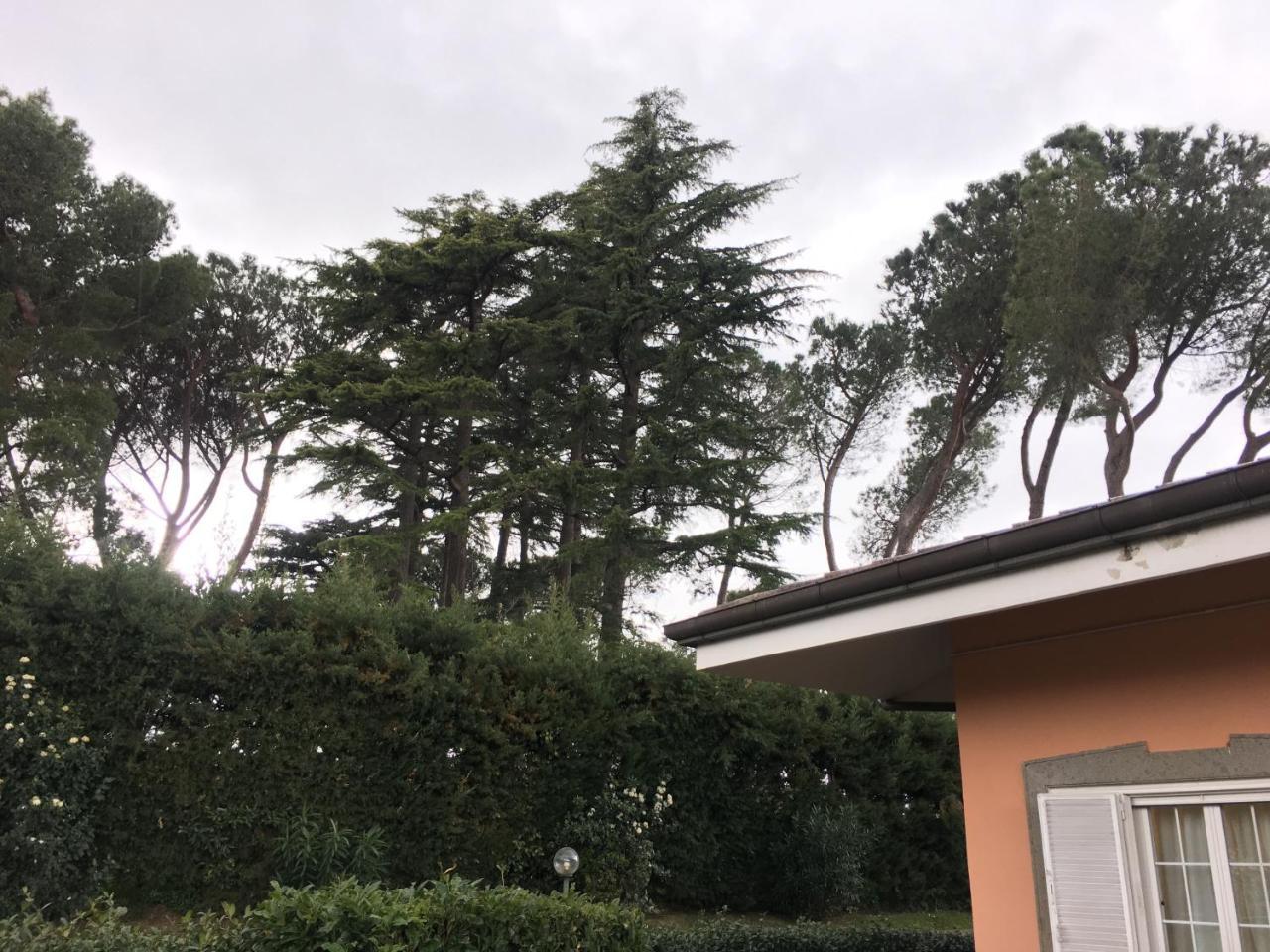 פראסקאטי Villagio B&B מראה חיצוני תמונה